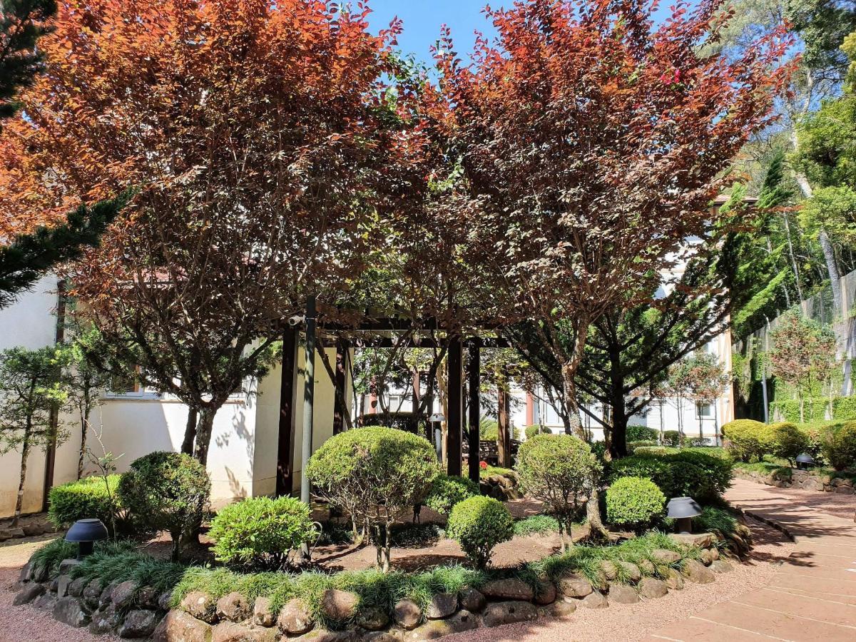 Apto No Centro De Gramado Com Piscina Termica Esterno foto